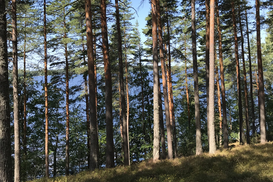 Päijänteen kansallispuisto, Kelventeen harjusaari